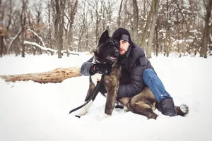 Winter fun with dogs in snowy forest landscape.