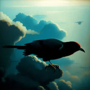 Majestic Black Grouse Soaring Over Ocean