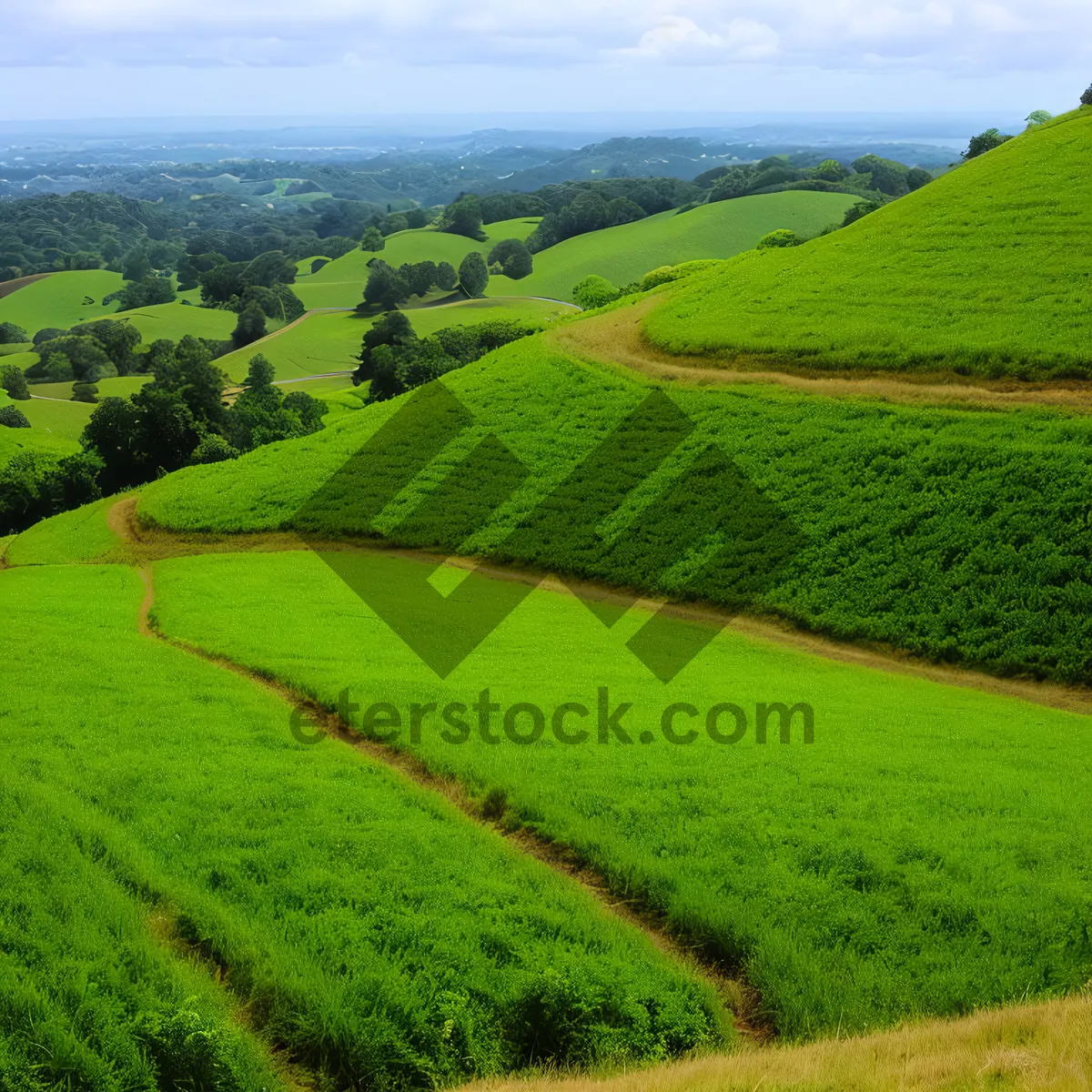 Picture of Serene Summer Landscape with Rolling Hills and Sunny Skies