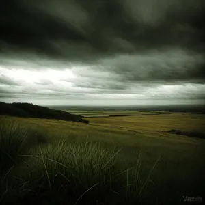 Vast Horizon: Sunlit Steppe Landscape with Clouds