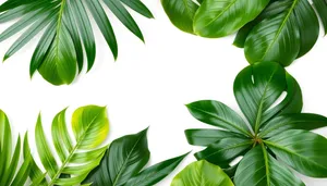 Green Bamboo Leaves Pattern Summer Floral Element Design