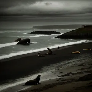 Sunset Beach Horizon: Tranquil Coastal Waterscape with Boat