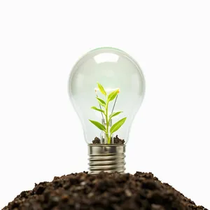 Green Energy Plant Seedling in Glass Bulb