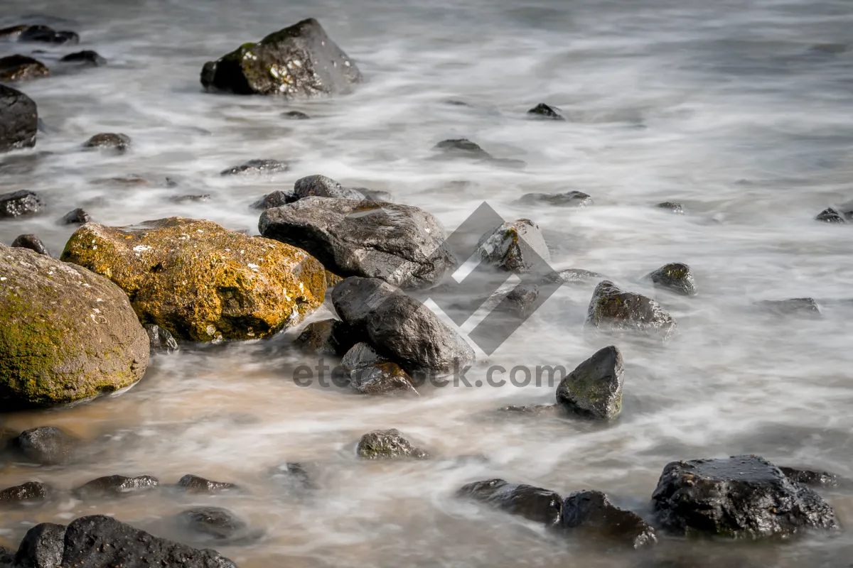 Picture of Ocean Waves on Rocky Coastline with Sea Turtle