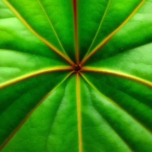 Colorful umbrella tree in graphic design backdrop.