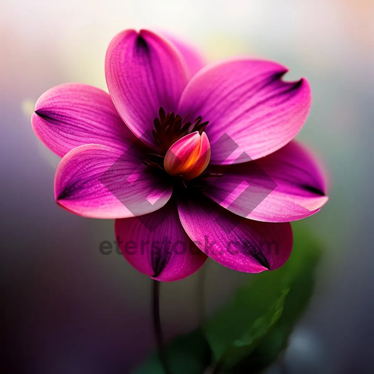 Picture of Vivid Floral Fantasy on Violet Wood Sorrel