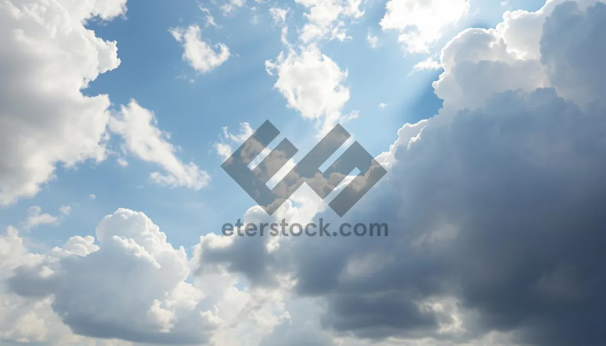 Picture of Clear blue sky with fluffy clouds on sunny day