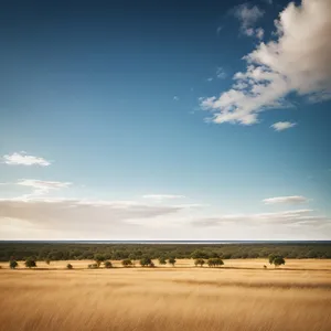 Sunset over the Sunny Steppe: Serene Summer Landscape