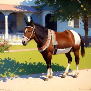 Sorrel Stallion in Equestrian Gear Grazing in Meadow