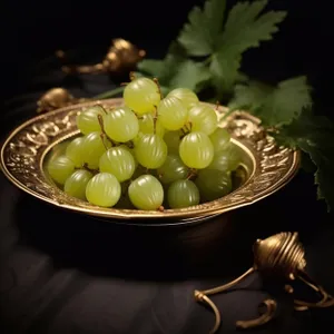 Fresh Grape Vineyard Agriculture Produce