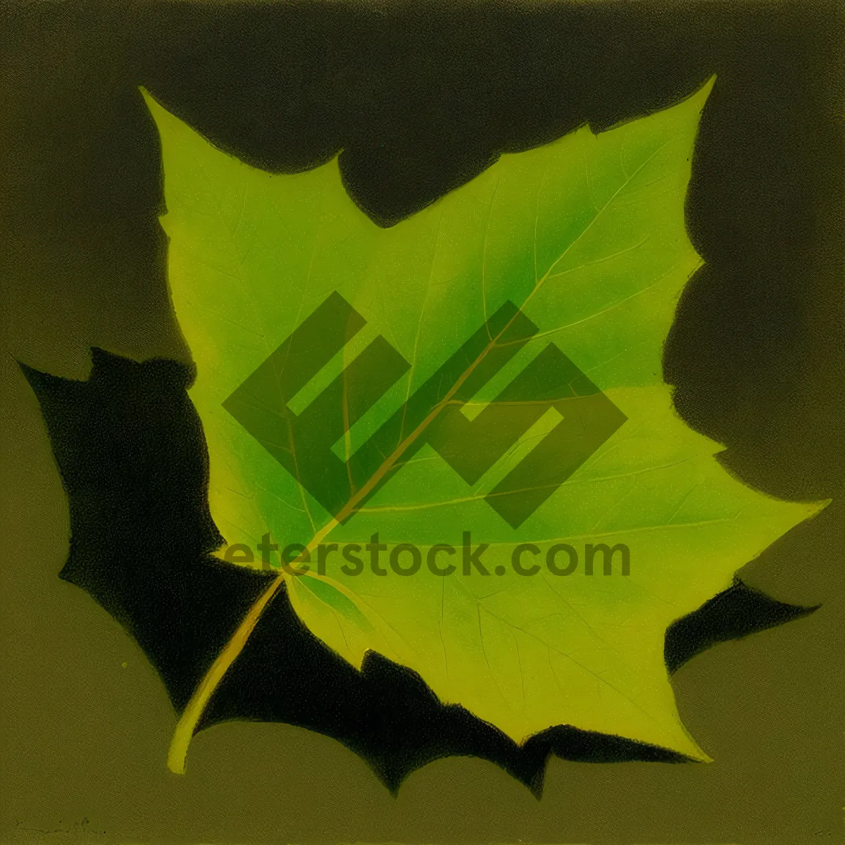 Picture of Vibrant Maple Leaf in Bright Forest