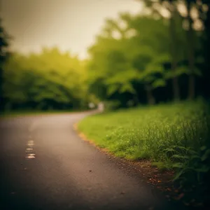 Serene countryside road through lush spring meadows