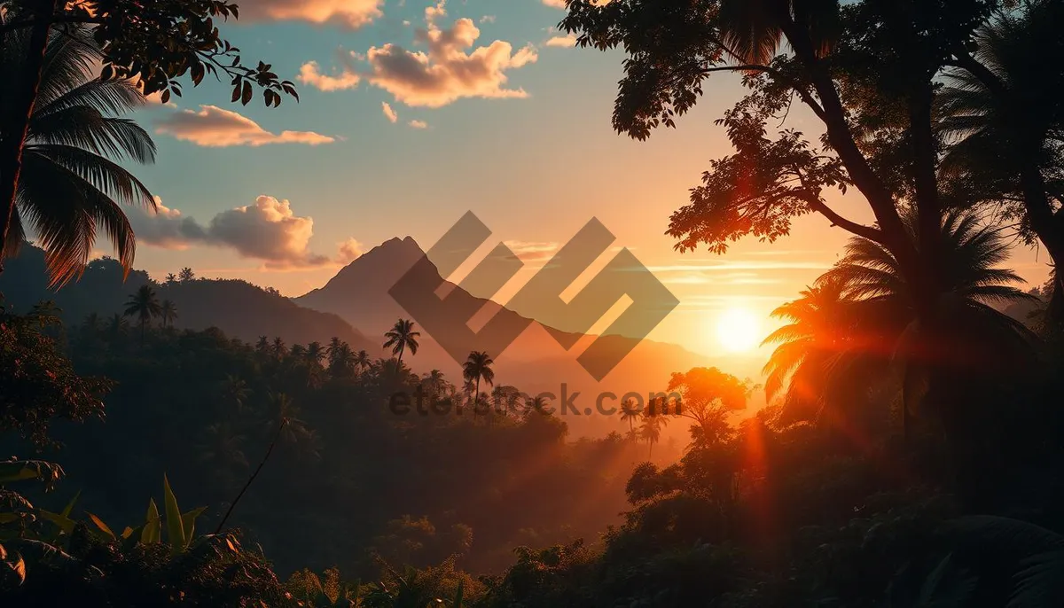 Picture of Mountain silhouette at sunset with orange sky and stars.