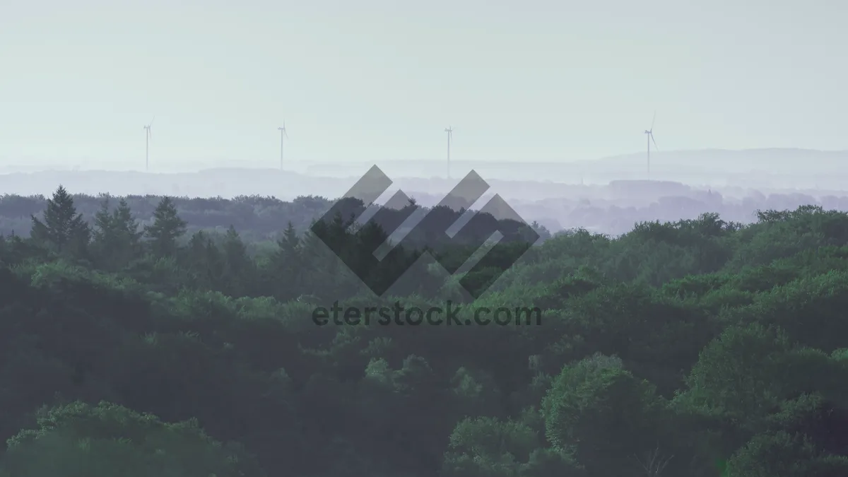 Picture of Heavenly Mountain landscape with chairlift in forest valley