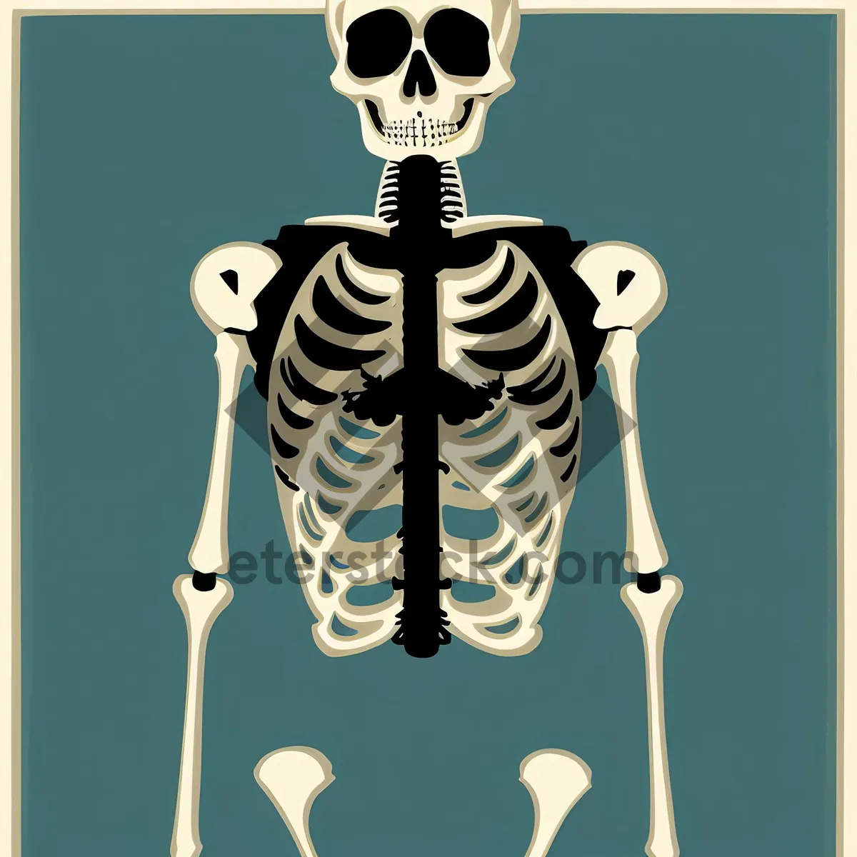 Picture of Human Skeletal Anatomy X-Ray - Spine & Hip Joint 3D