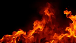 Wildfire Blaze Art Design Light Motion Texture