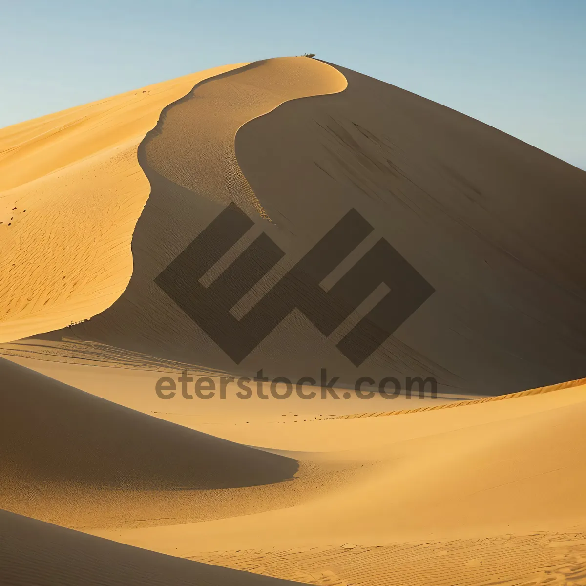 Picture of Sunny Dune Adventure in Morocco's Arid Landscape