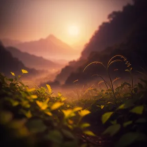 Vibrant Sunset Glow over Mountainous Landscape