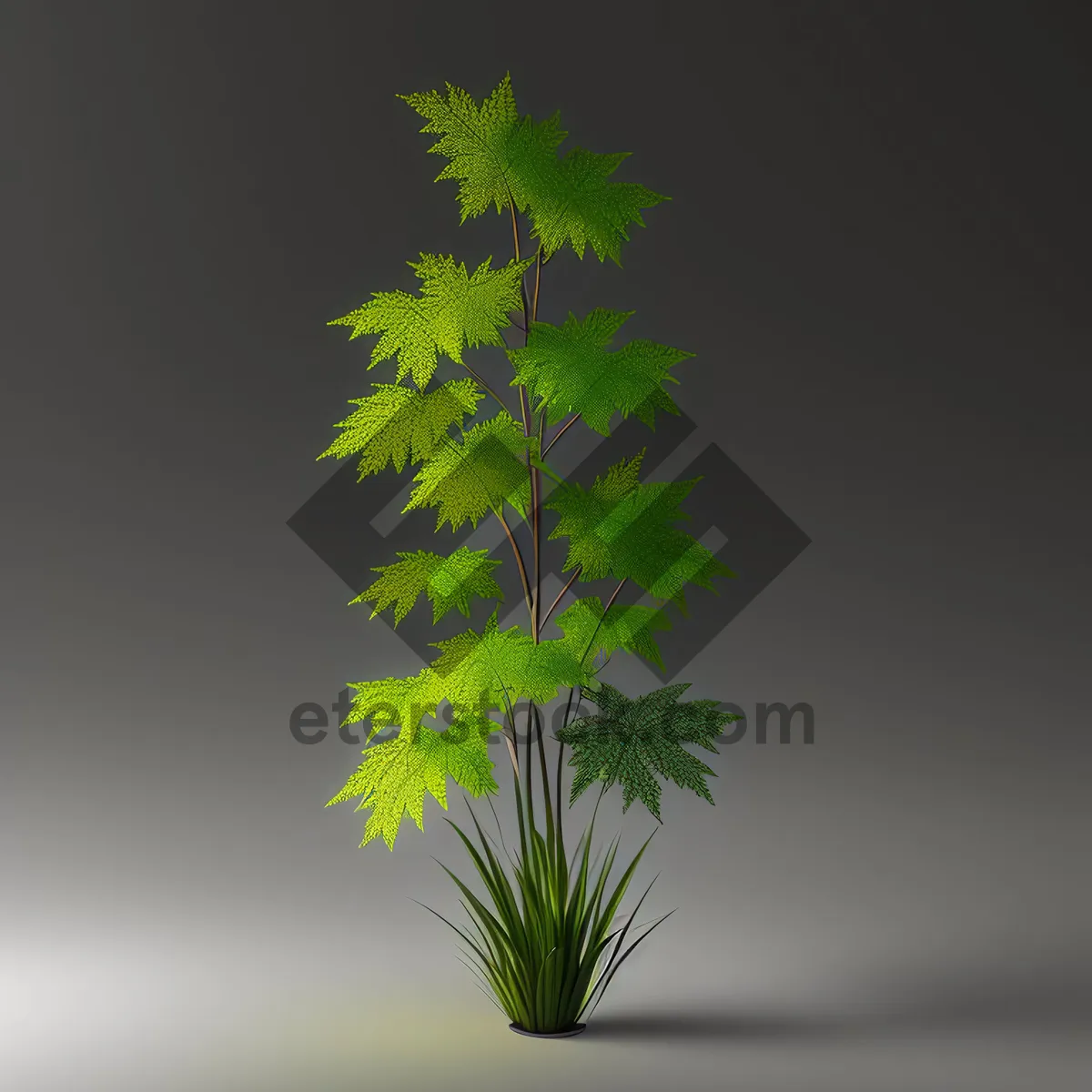 Picture of Evergreen Winter Tree with Festive Decoration