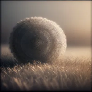 Round Tennis Ball on Hay Field