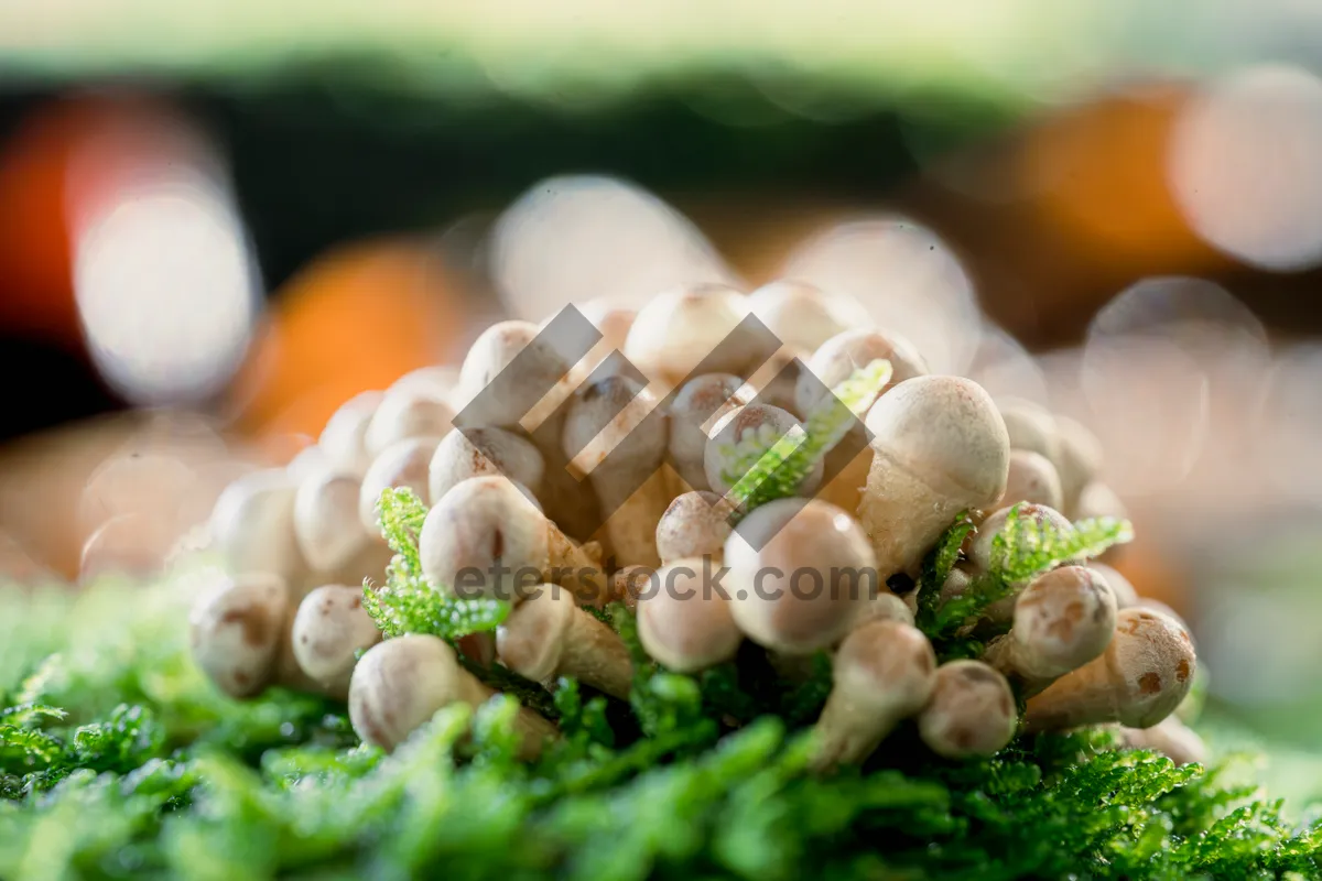 Picture of Healthy vegetable dinner dish with chickpea and asparagus