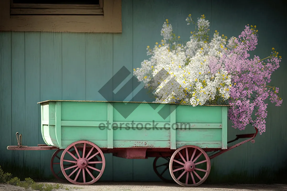 Picture of Vintage horse-drawn hay wagon in rural countryside.