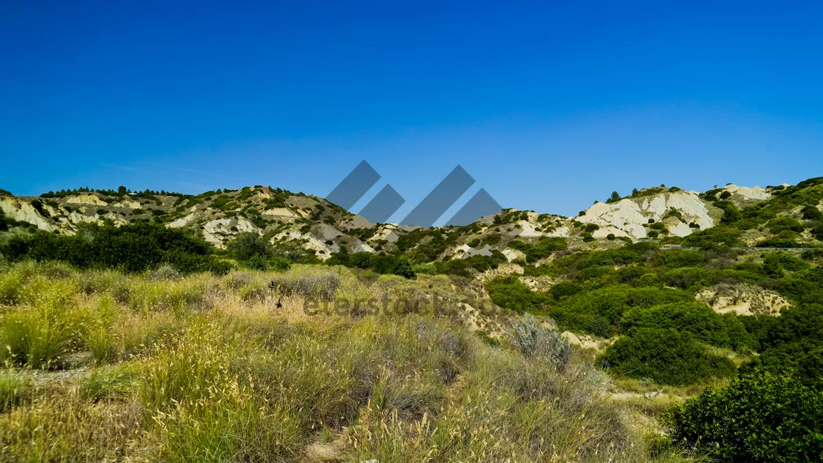 Picture of panorama of the Lucanian badlands park, geological sandstone formations