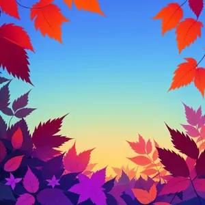 Autumn Foliage: Nature's Colorful Symphony
