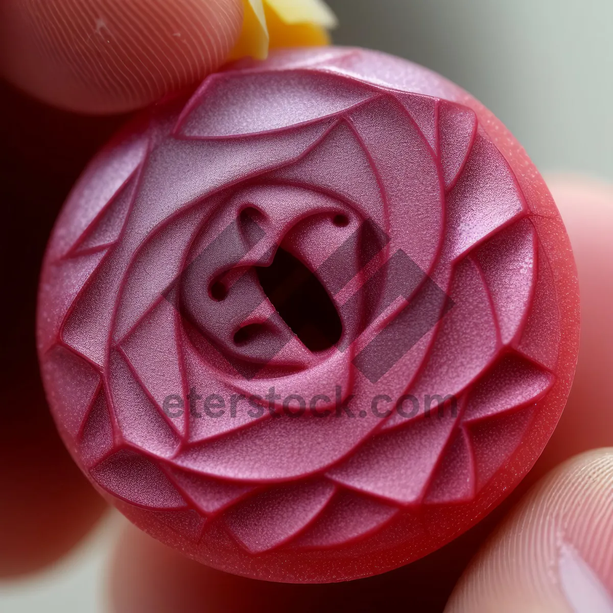 Picture of Romantic Pink Rose Blossom for Valentine's Day