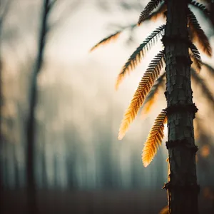 Serenity amidst Wheat Field: Sunset Sky and Centipede