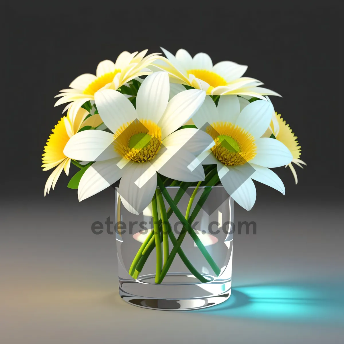 Picture of Daisy Blossom - Fresh White Petals in Bloom