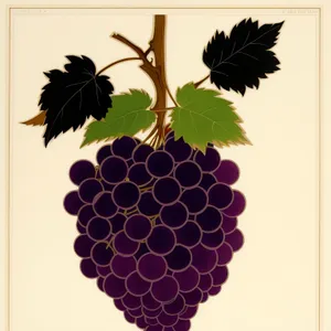 Vibrant Grape Vineyard Decor with Honeycomb Pattern