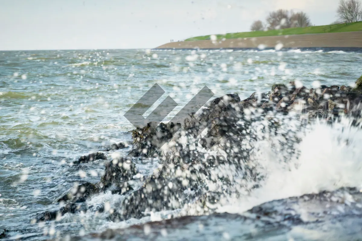 Picture of Rocky shore waves under sky