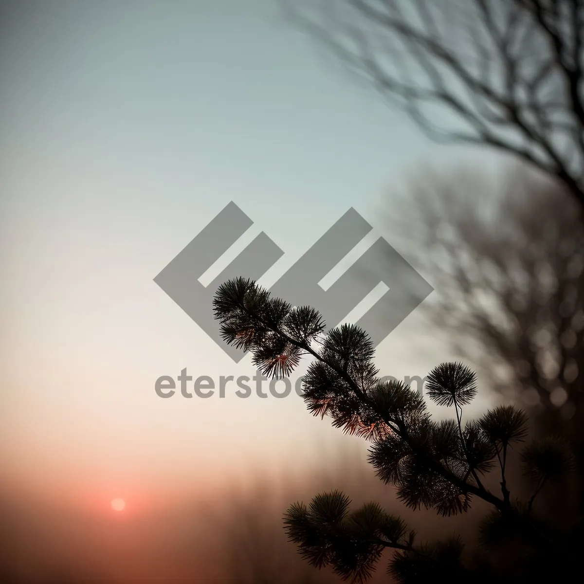 Picture of Majestic Winter Tree Silhouette against Vibrant Sunset Sky