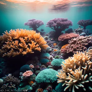 Vibrant Coral Reef Life in Sunlit Saltwater Paradise