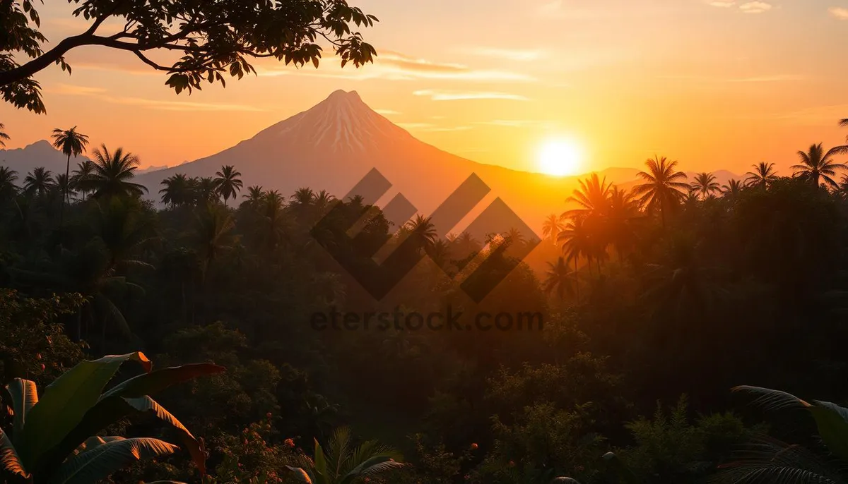Picture of Orange sunset silhouette over cemetery with palm trees.