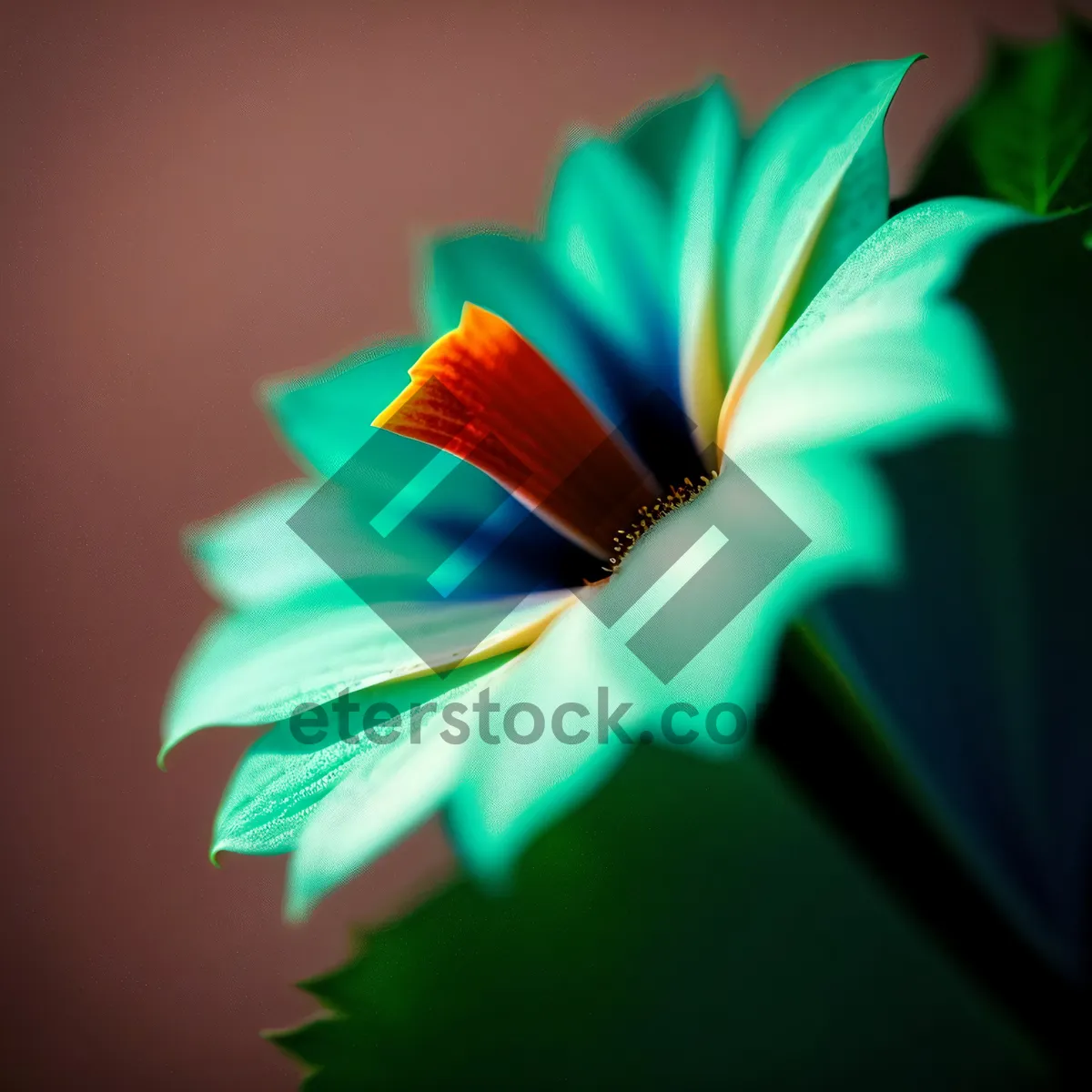 Picture of Colorful Fractal Petals of a Futuristic Design