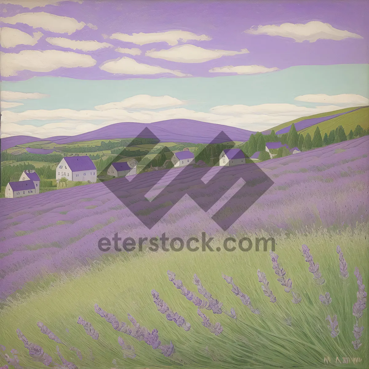 Picture of Serene Lavender Meadow in Rural Countryside