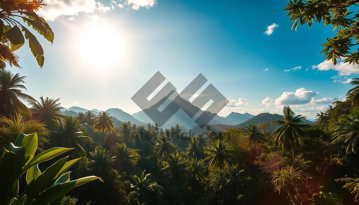 Picture of Sunset over mountain range at national park