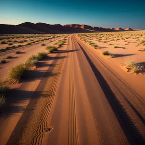 Endless Dune Road: Majestic Desert Landscape