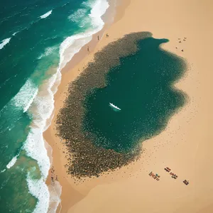 Tropical Paradise: Crystal Clear Waters and Sandy Beach