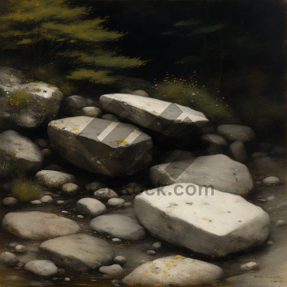 Picture of River stone and barnacles on rocks.