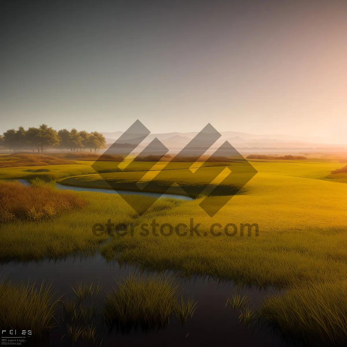 Picture of Sunset over Rapeseed Field: Rural Beauty
