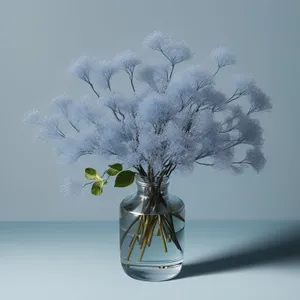 Cow parsley and flowers in vase