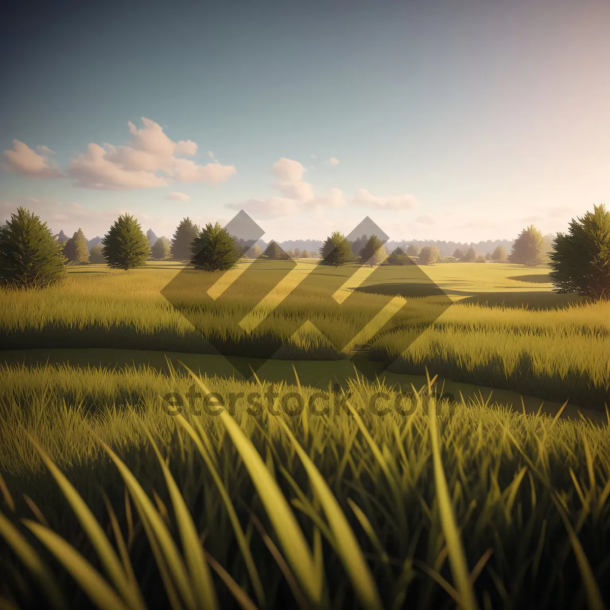 Picture of Golden Wheat Field Under Sunny Rural Sky