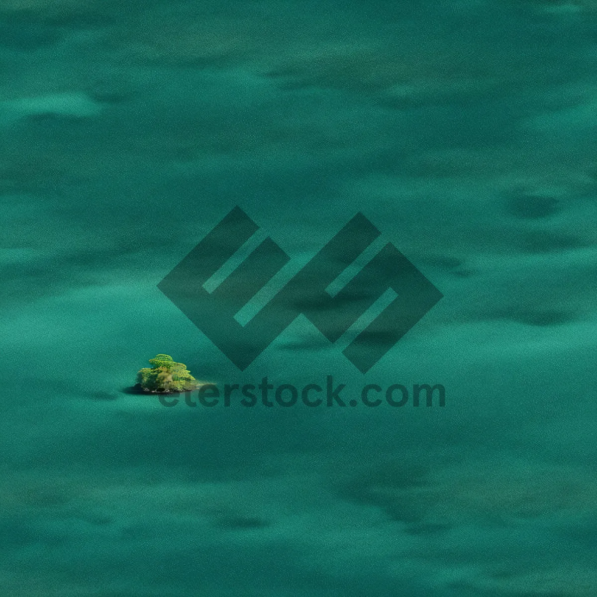 Picture of Underwater Adventure: Tropical Sea Turtle Swimming in Ocean