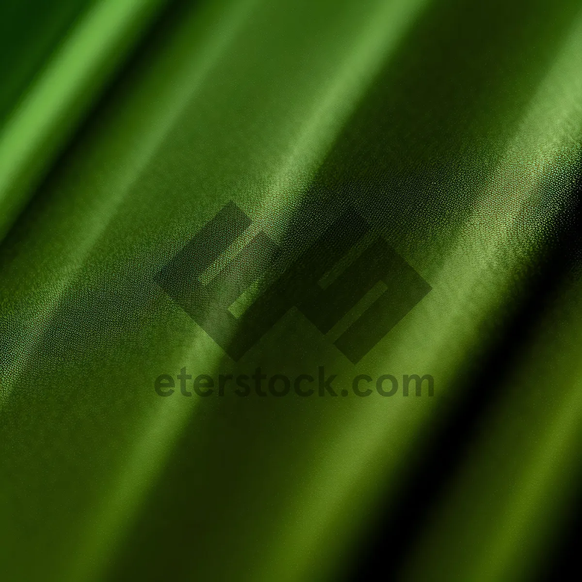 Picture of Lively Leaf: Vibrant Spring Texture in Garden