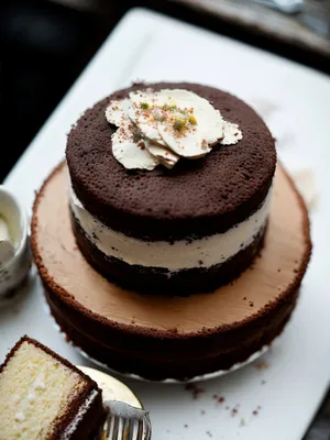 Delicious Chocolate Cake Slice with Mint Icing