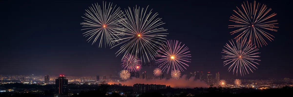 Picture of Colorful Firework Display in the Night Sky