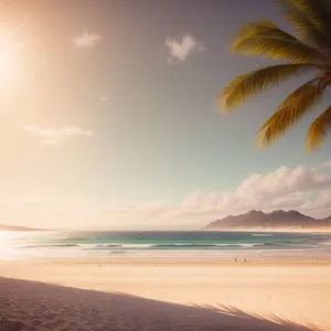 Sunset Paradise: Serene Beachscape with Palm Trees